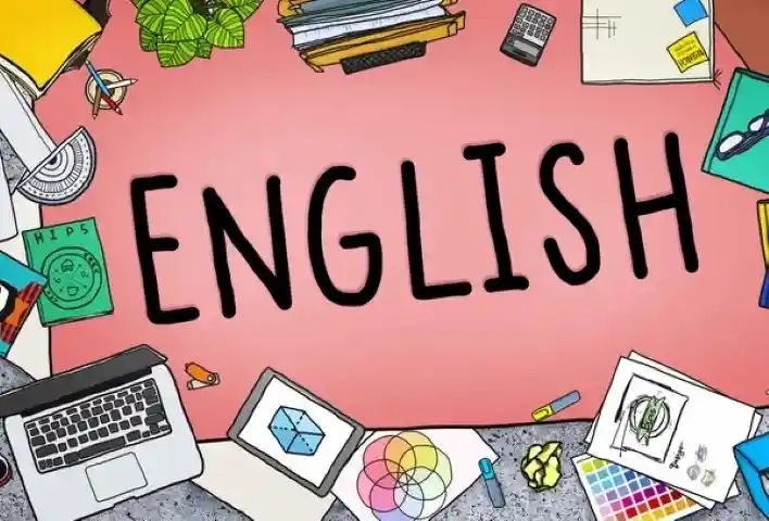 Domates İngilizcesi nedir? İngilizce domates nasıl denir?