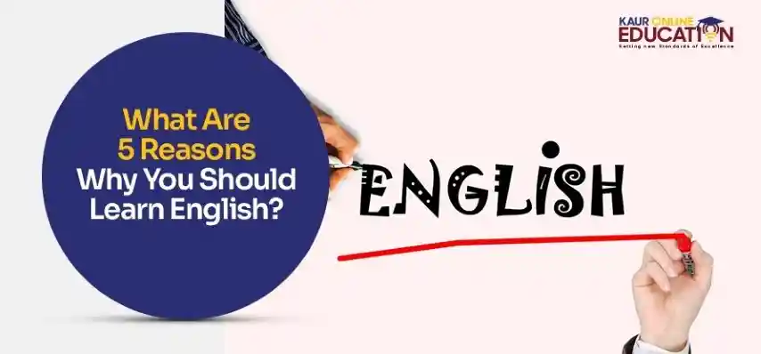 Peynir İngilizcesi nedir? İngilizce peynir nasıl denir?