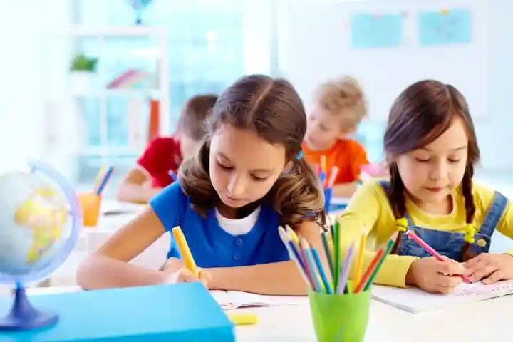 Fil İngilizce karşılığı? İngilizce fil nedir?