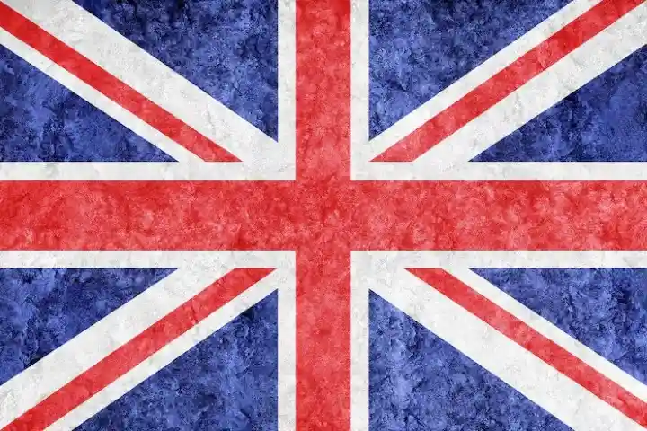 英語で「referee」とは何ですか？英語で「referee」とはどういう意味ですか？