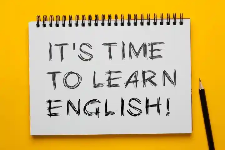 Orkide İngilizce karşılığı? İngilizce orkide nedir?