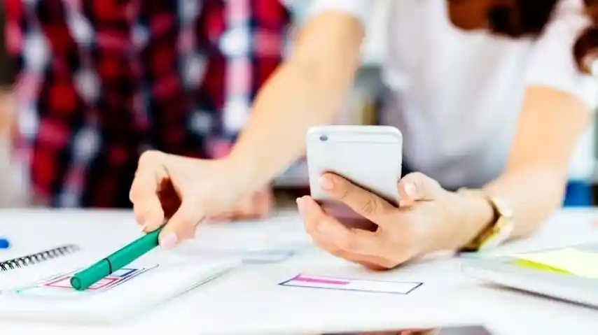 Palmiye İngilizce karşılığı? İngilizce palmiye nedir?