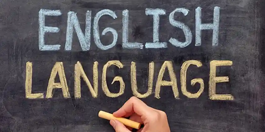 Zambak İngilizce nasıl söyleniyor? İngilizce zambak ne?