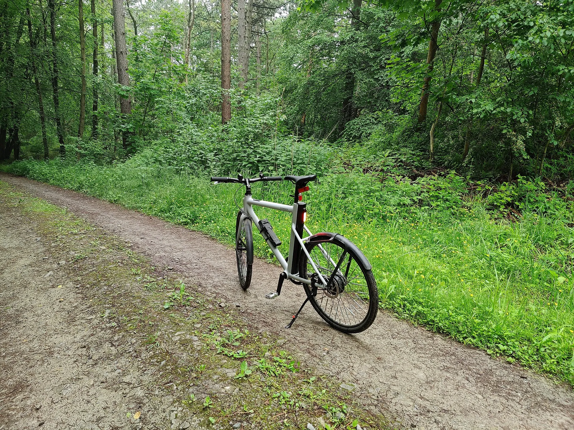 Bir Pedelec (pedal destekli elektrikli bisiklet) ormanlık bir patikada park halde duruyor