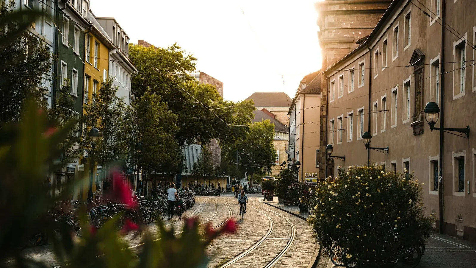 Freiburg'da Gezilecek Yerler — Münster Katedrali, Bächle Kanalları, Vauban ve Kara Orman Rehberi