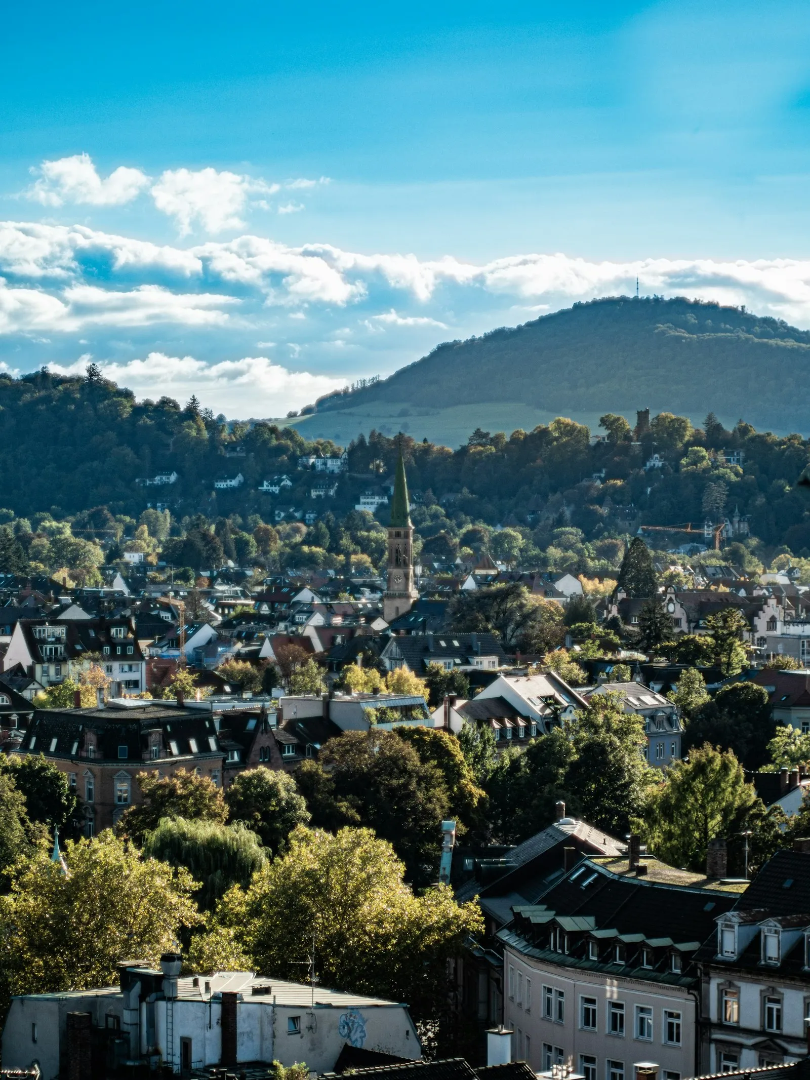 Schwarzwald (Kara Orman) manzarası