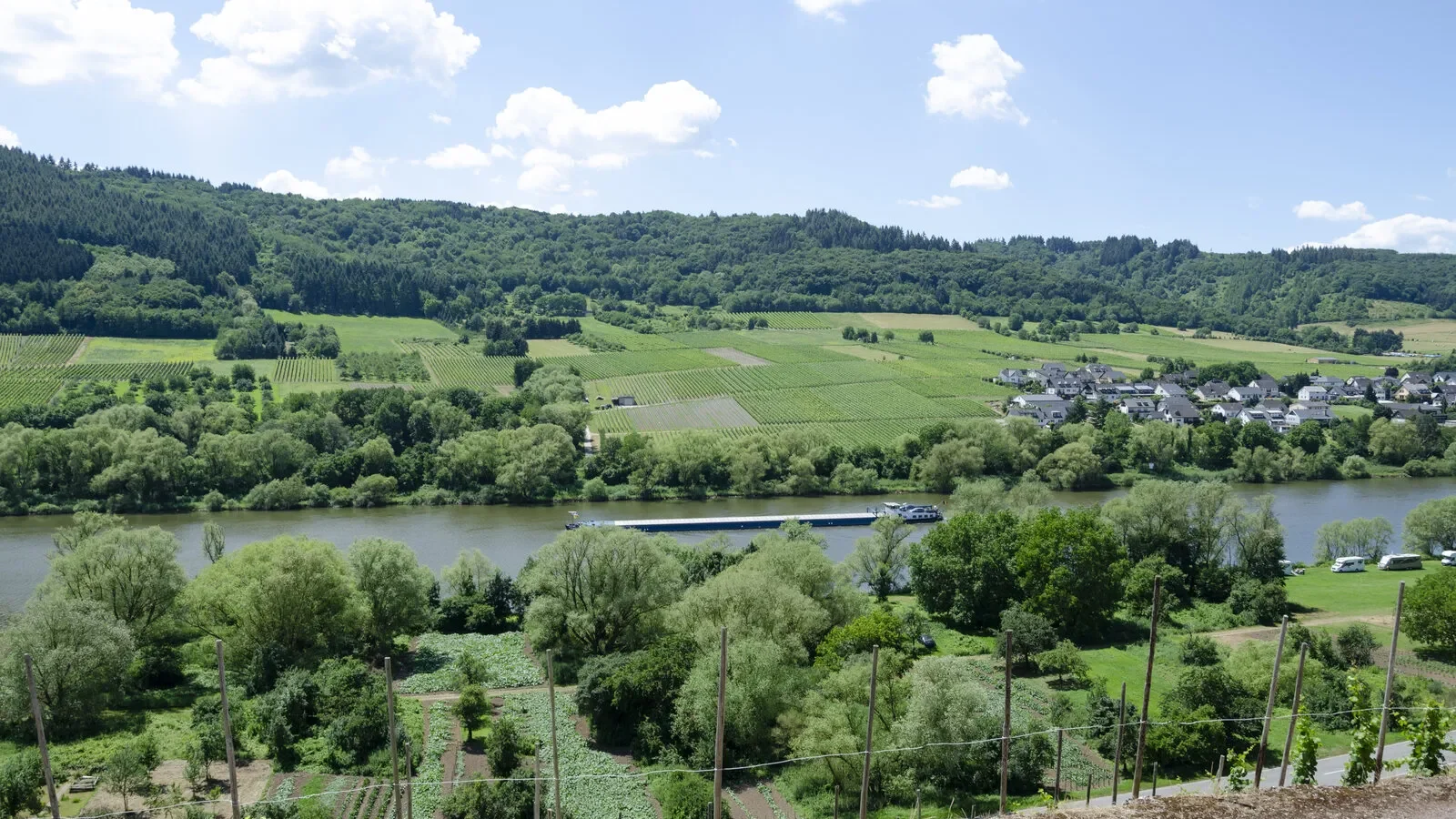 Almanya'nın Şarap Bölgeleri Nasıl Gezilir? Mosel, Rheingau, Pfalz Rotaları