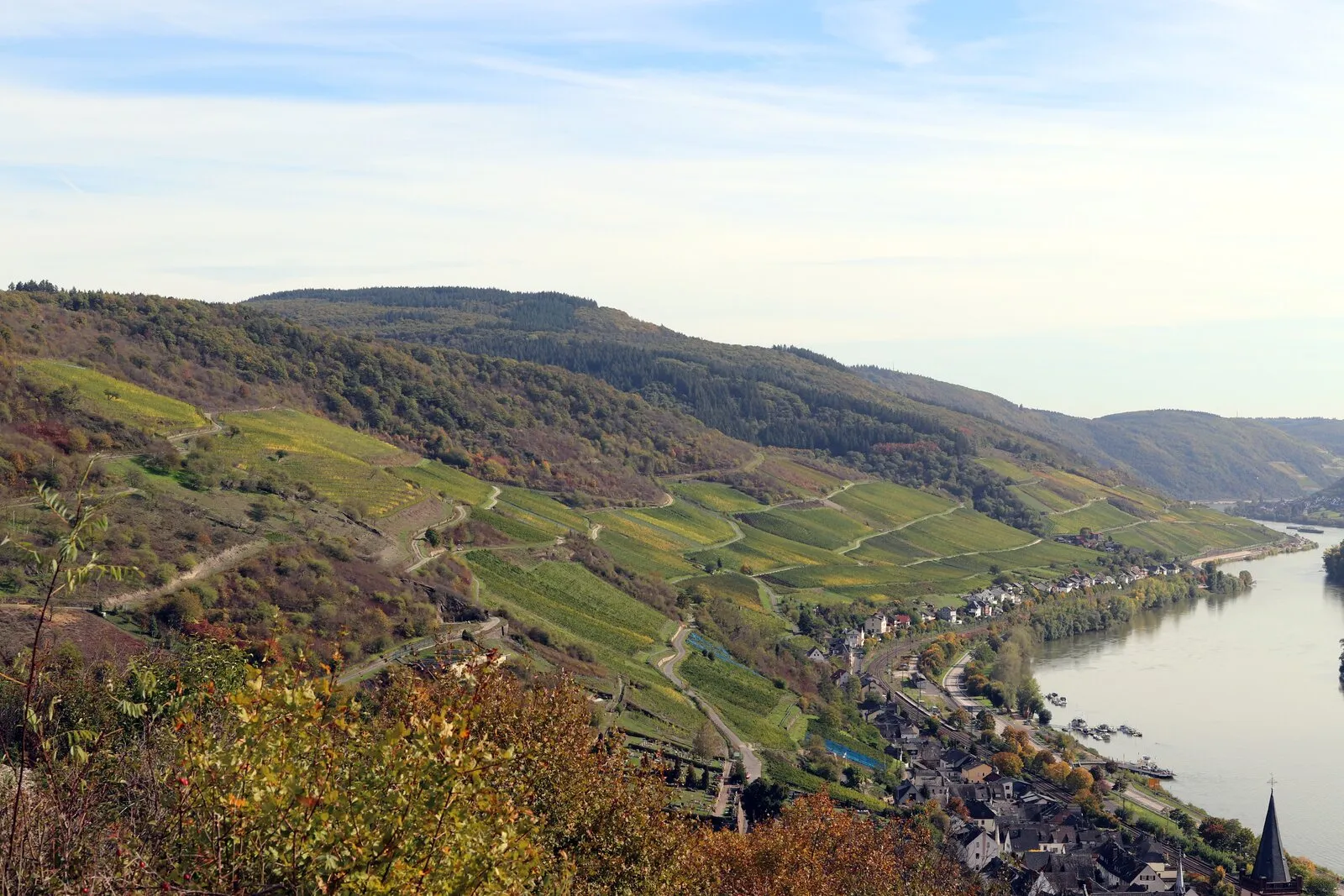 Rheingau şarap bölgesinde Lorch yakınlarında Rhein vadisine bakan bağ yamaçları