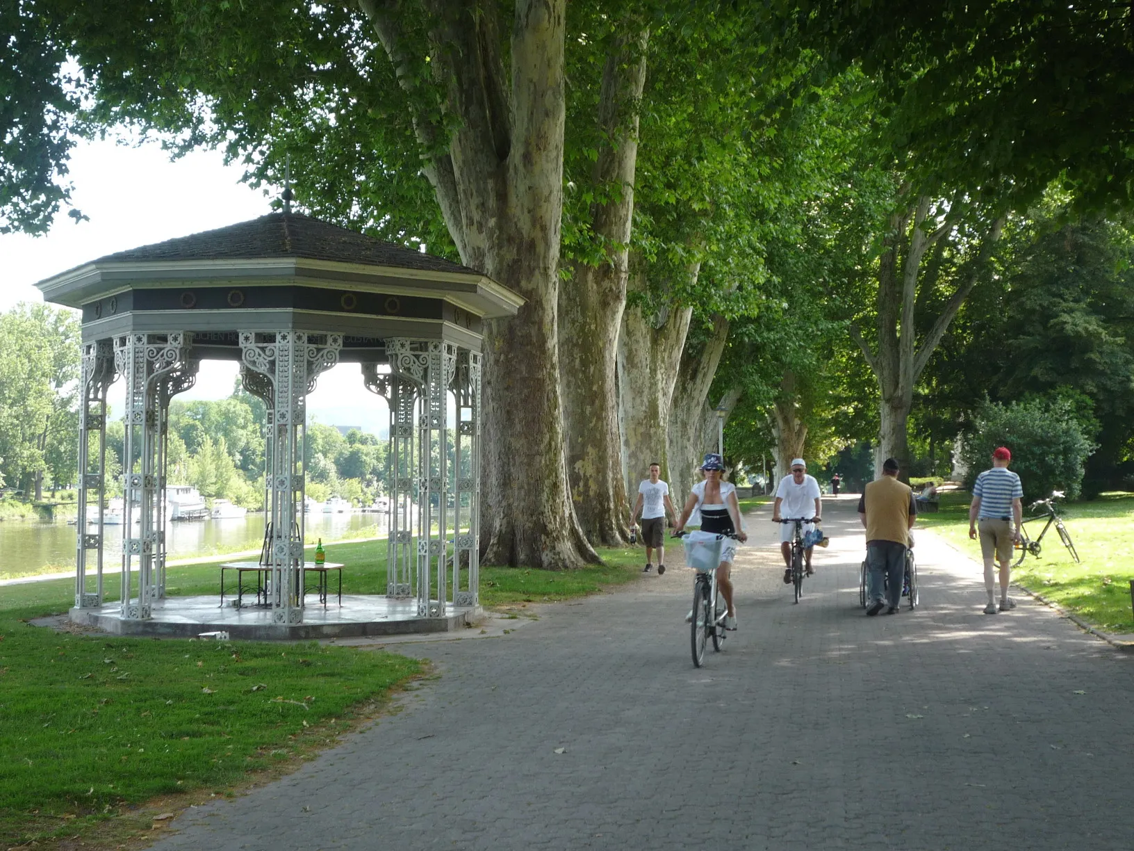 Koblenz'de Ren Nehri kıyısındaki Rheinradweg bisiklet yolu ve yeşil parkur
