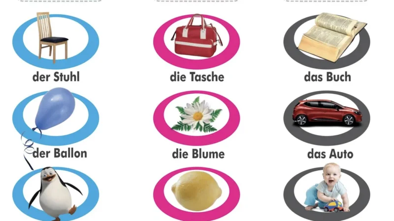 Wir Lernen Deutsch – Almanca der die das belirli artikeller