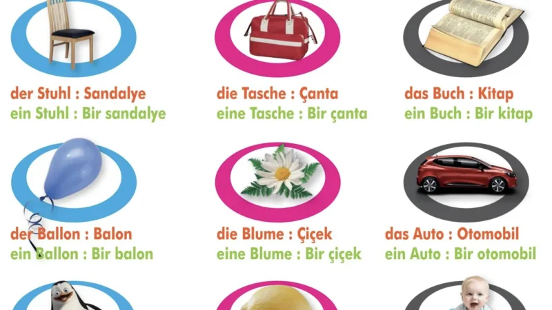 Wir Lernen Deutsch – Almanca ein eine belirsiz artikeller Wir Lernen Deutsch – Almanca ein eine belirsiz artikeller