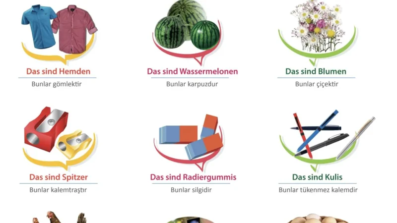 Wir Lernen Deutsch – Almanca çoğul cümleler das sind Wir Lernen Deutsch – Almanca çoğul cümleler das sind