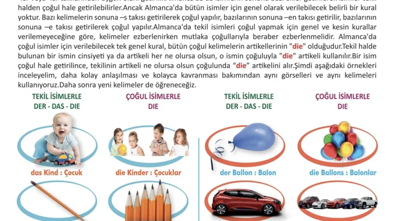 Wir Lernen Deutsch – Almanca çoğul isimler ve artikel değişimi