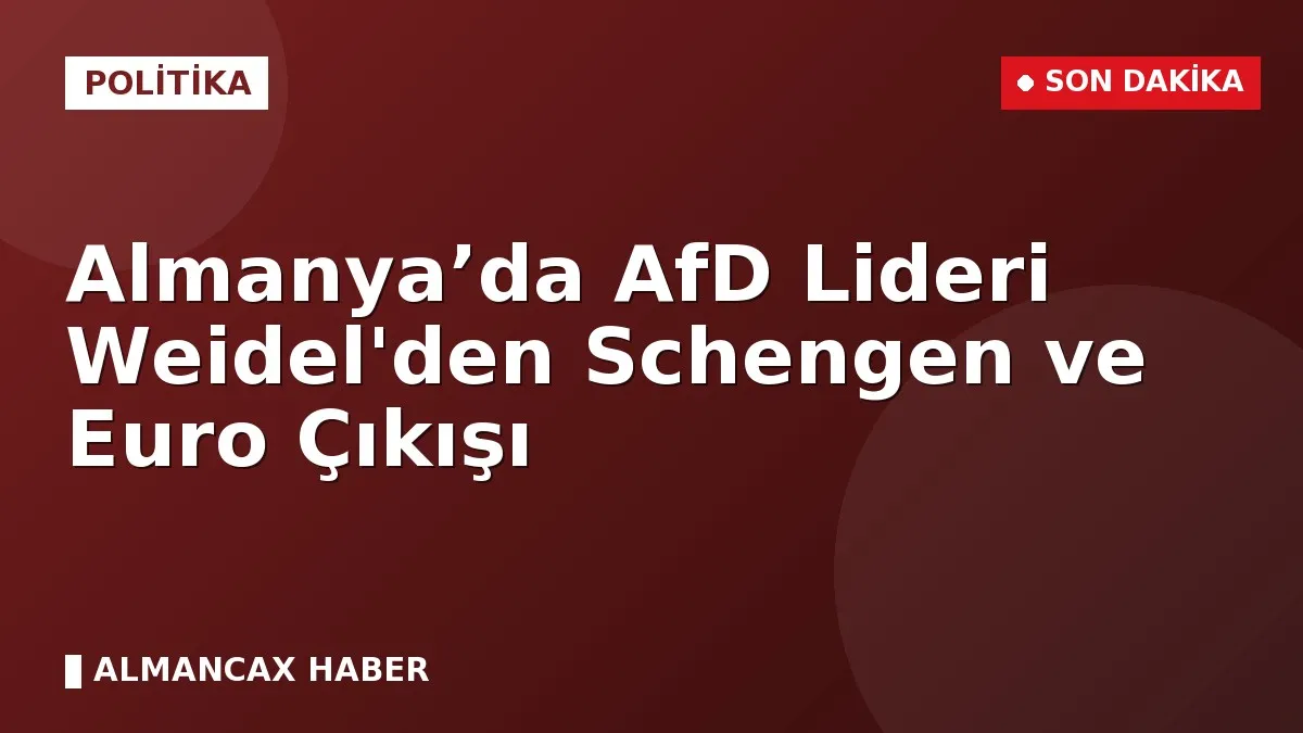 Almanya’da AfD Lideri Weidel'den Schengen ve Euro Çıkışı