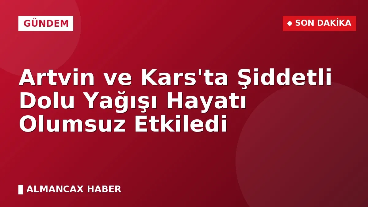Artvin ve Kars'ta Şiddetli Dolu Yağışı Hayatı Olumsuz Etkiledi