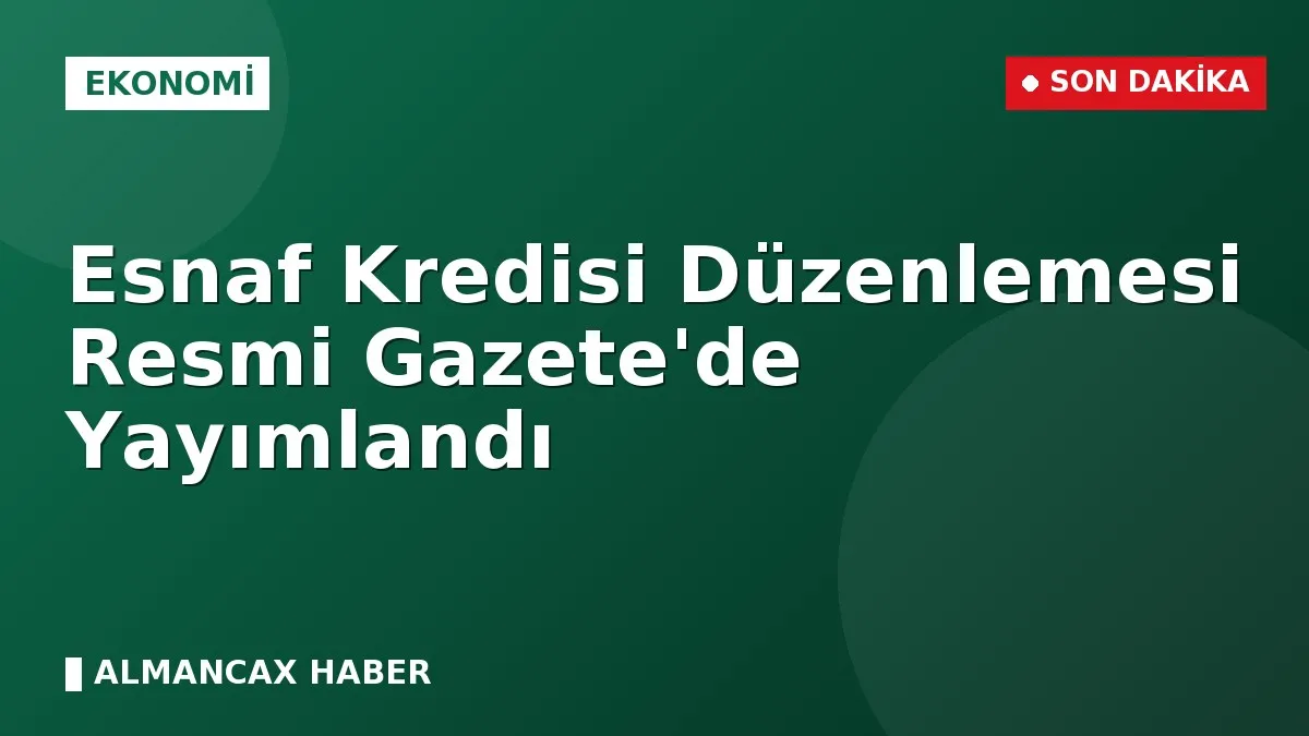 Esnaf Kredisi Düzenlemesi Resmi Gazete'de Yayımlandı