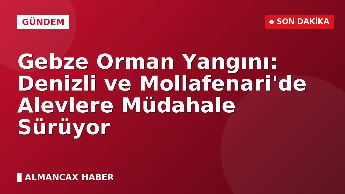 Gebze Orman Yangını: Denizli ve Mollafenari'de Alevlere Müdahale Sürüyor