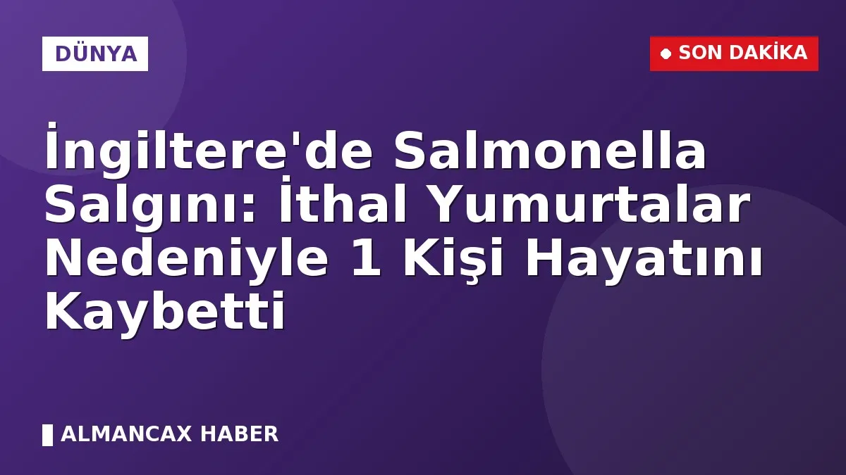 İngiltere'de Salmonella Salgını: İthal Yumurtalar Nedeniyle 1 Kişi Hayatını Kaybetti