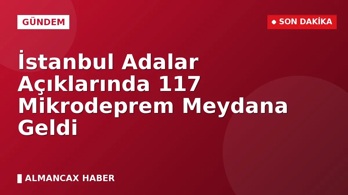 İstanbul Adalar Açıklarında 117 Mikrodeprem Meydana Geldi