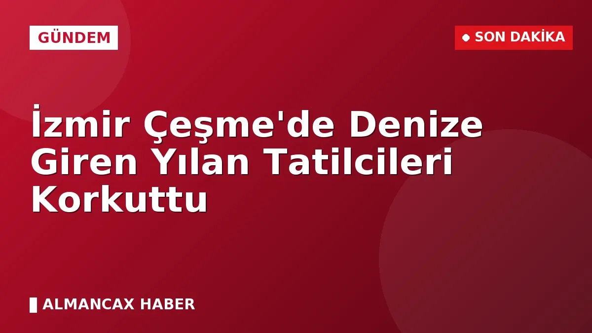 İzmir Çeşme'de Denize Giren Yılan Tatilcileri Korkuttu