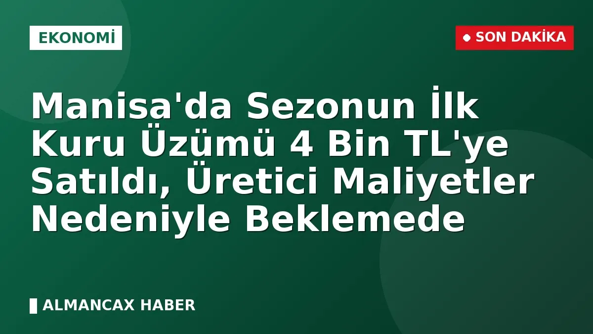 Manisa'da Sezonun İlk Kuru Üzümü 4 Bin TL'ye Satıldı, Üretici Maliyetler Nedeniyle Beklemede