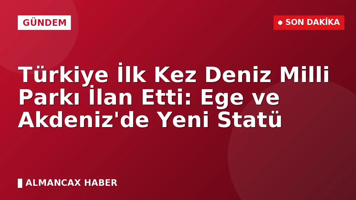 Türkiye İlk Kez Deniz Milli Parkı İlan Etti: Ege ve Akdeniz'de Yeni Statü