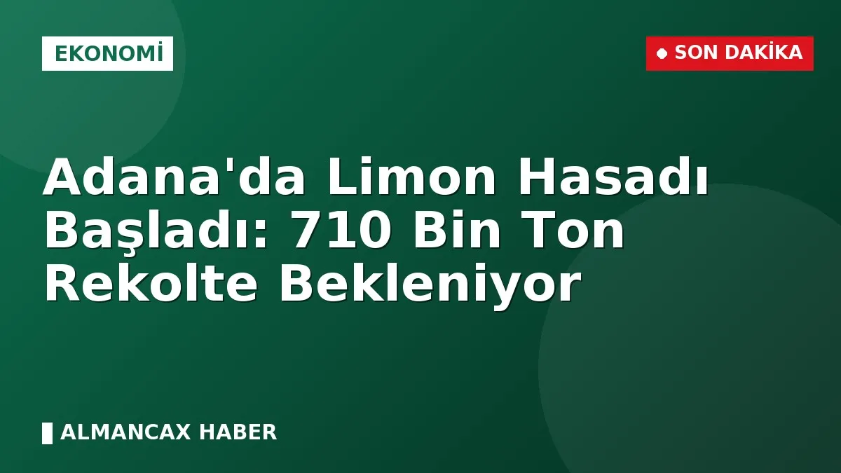 Adana'da Limon Hasadı Başladı: 710 Bin Ton Rekolte Bekleniyor