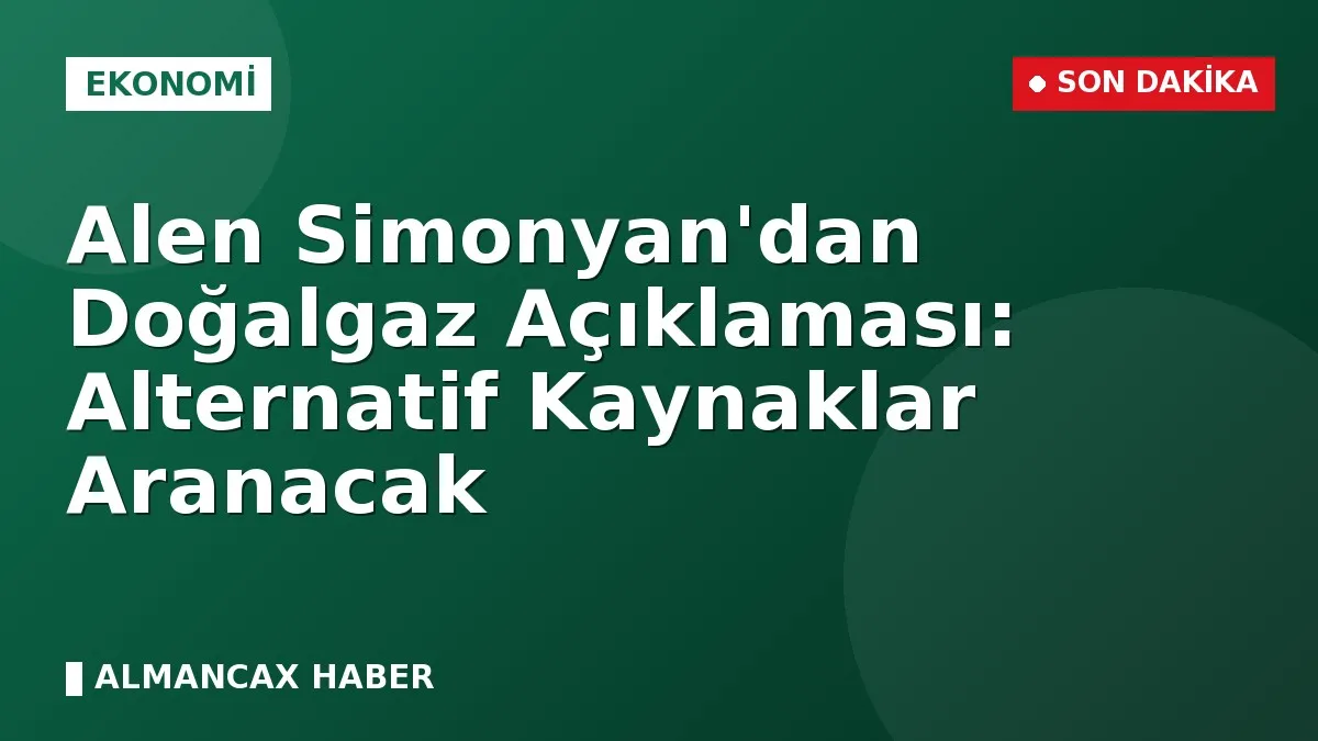 Alen Simonyan'dan Doğalgaz Açıklaması: Alternatif Kaynaklar Aranacak