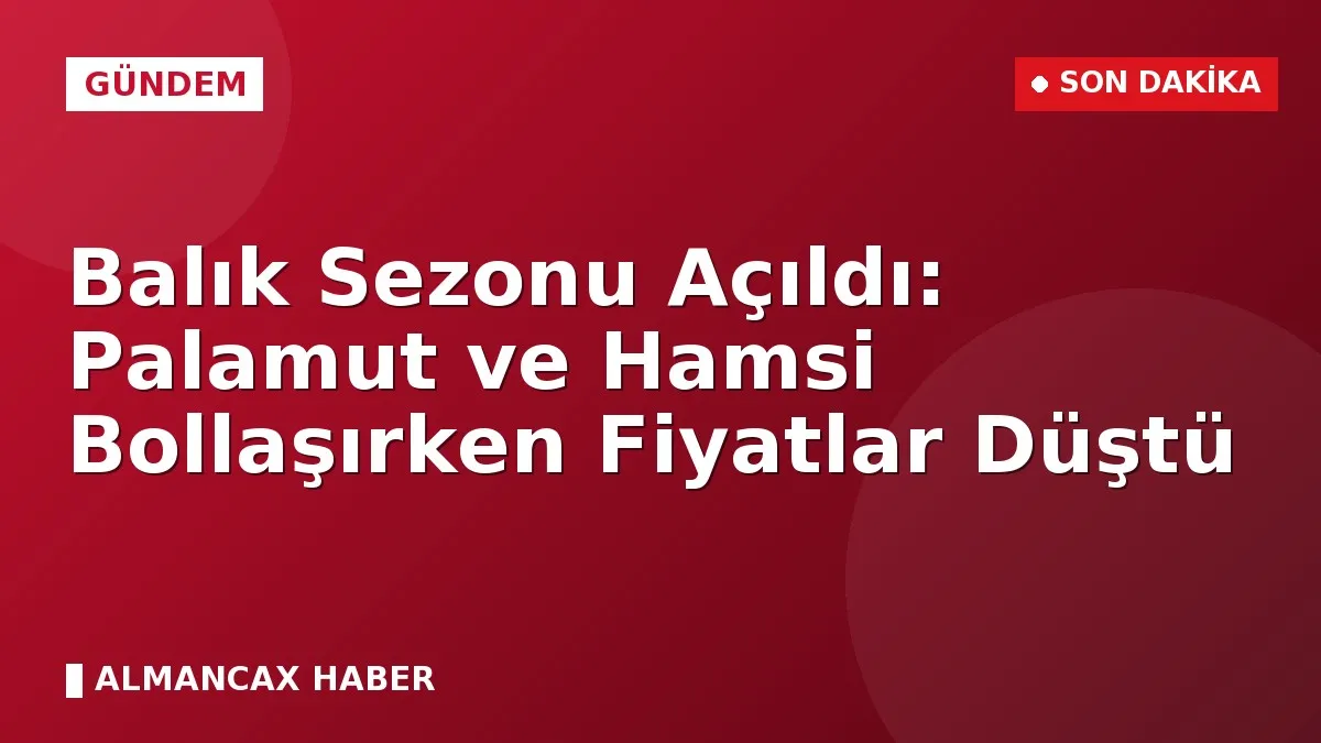 Balık Sezonu Açıldı: Palamut ve Hamsi Bollaşırken Fiyatlar Düştü
