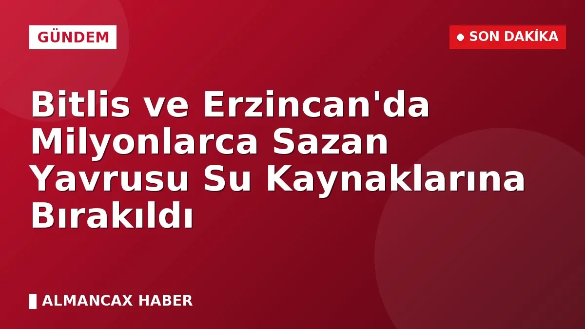 Bitlis ve Erzincan'da Milyonlarca Sazan Yavrusu Su Kaynaklarına Bırakıldı