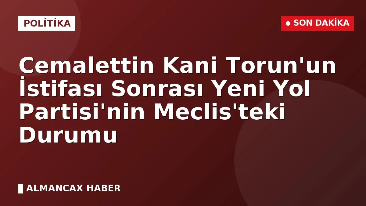 Cemalettin Kani Torun'un İstifası Sonrası Yeni Yol Partisi'nin Meclis'teki Durumu