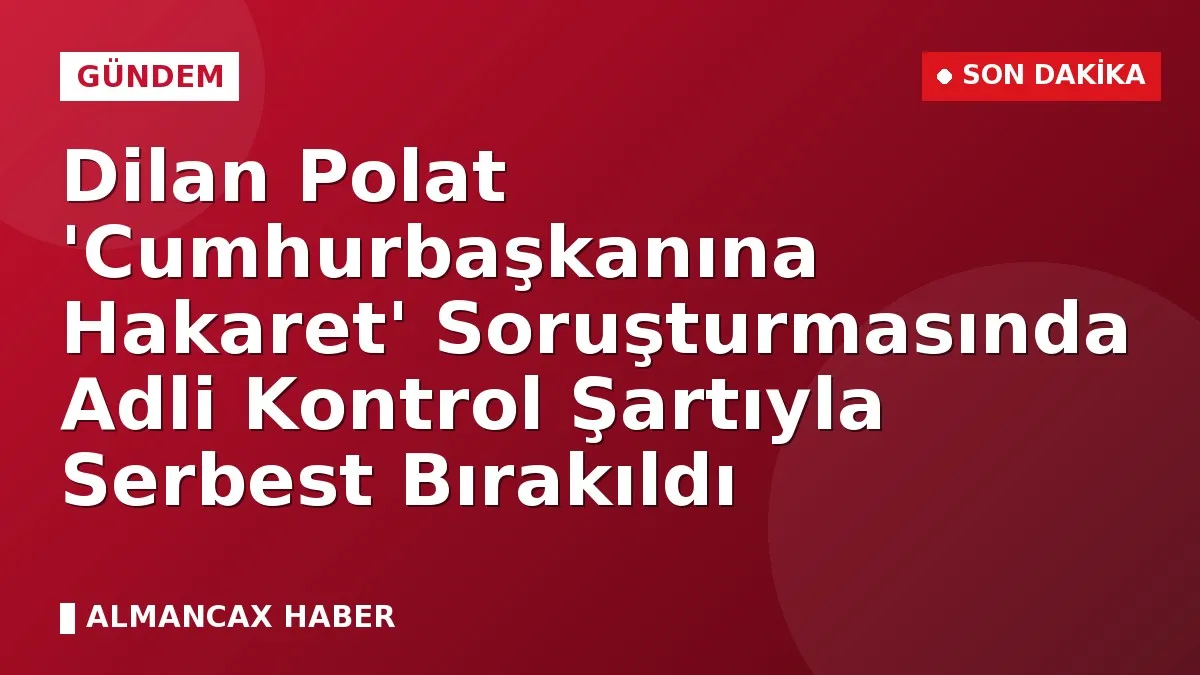 Dilan Polat 'Cumhurbaşkanına Hakaret' Soruşturmasında Adli Kontrol Şartıyla Serbest Bırakıldı
