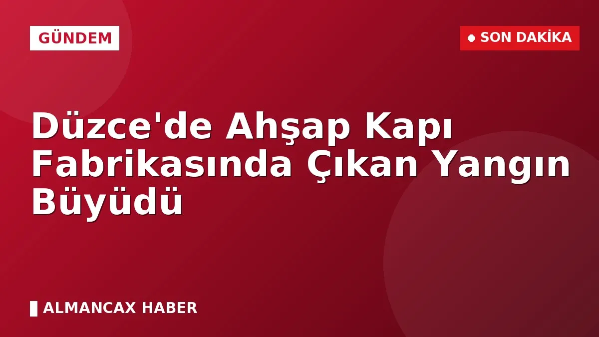 Düzce'de Ahşap Kapı Fabrikasında Çıkan Yangın Büyüdü