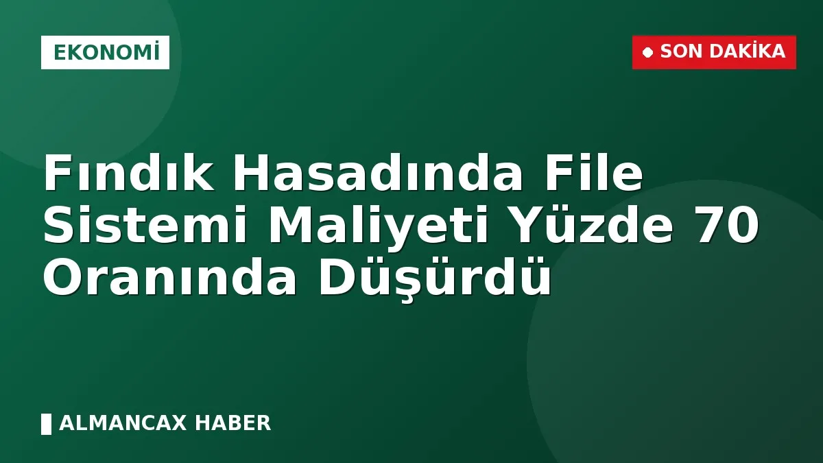 Fındık Hasadında File Sistemi Maliyeti Yüzde 70 Oranında Düşürdü