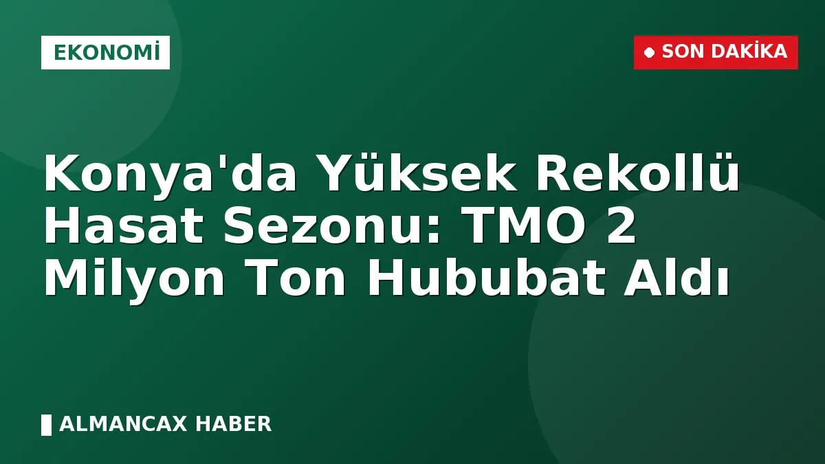 Konya'da Yüksek Rekollü Hasat Sezonu: TMO 2 Milyon Ton Hububat Aldı