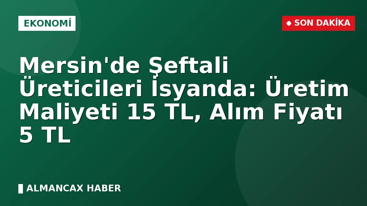 Mersin'de Şeftali Üreticileri İsyanda: Üretim Maliyeti 15 TL, Alım Fiyatı 5 TL