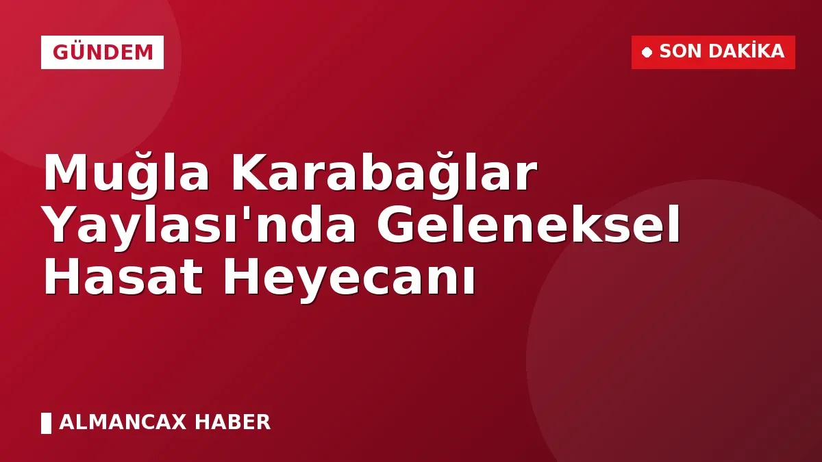 Muğla Karabağlar Yaylası'nda Geleneksel Hasat Heyecanı