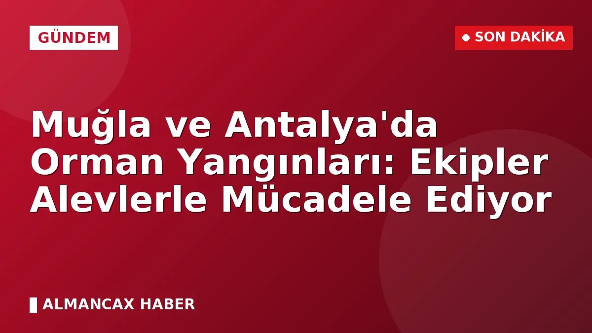 Muğla ve Antalya'da Orman Yangınları: Ekipler Alevlerle Mücadele Ediyor