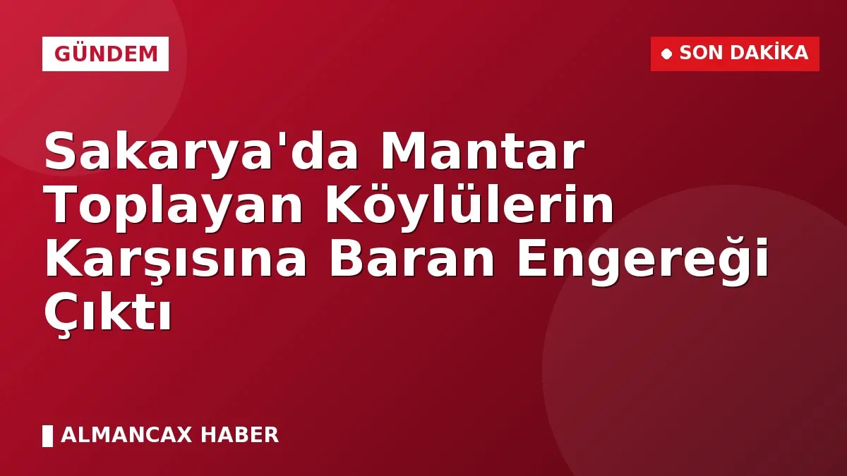 Sakarya'da Mantar Toplayan Köylülerin Karşısına Baran Engereği Çıktı