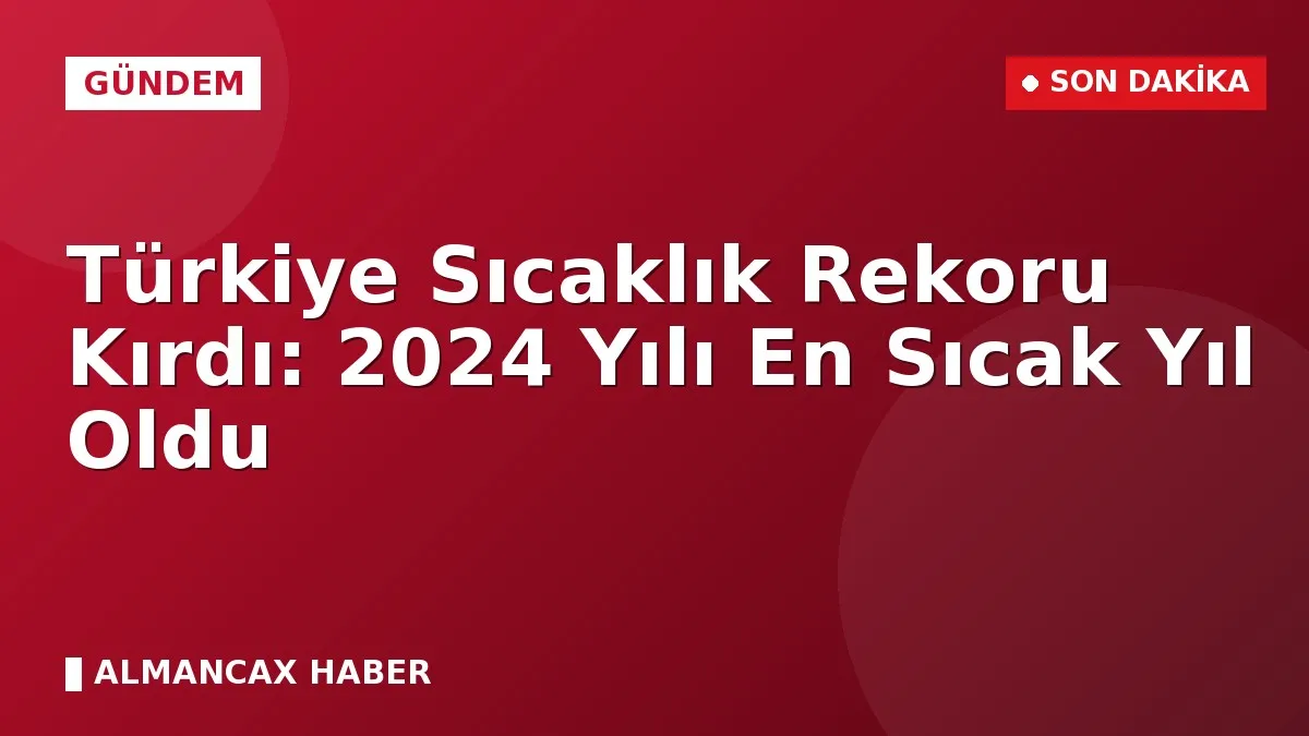Türkiye Sıcaklık Rekoru Kırdı: 2024 Yılı En Sıcak Yıl Oldu