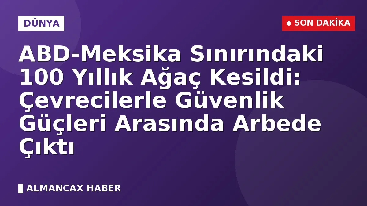 ABD-Meksika Sınırındaki 100 Yıllık Ağaç Kesildi: Çevrecilerle Güvenlik Güçleri Arasında Arbede Çıktı
