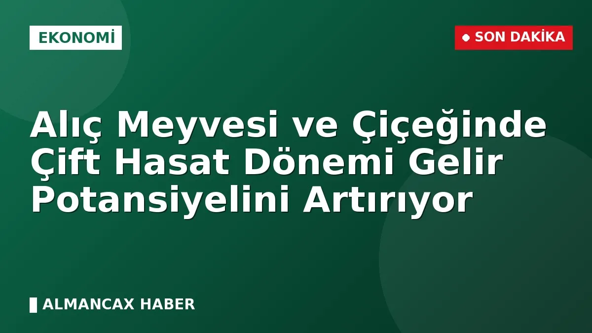 Alıç Meyvesi ve Çiçeğinde Çift Hasat Dönemi Gelir Potansiyelini Artırıyor