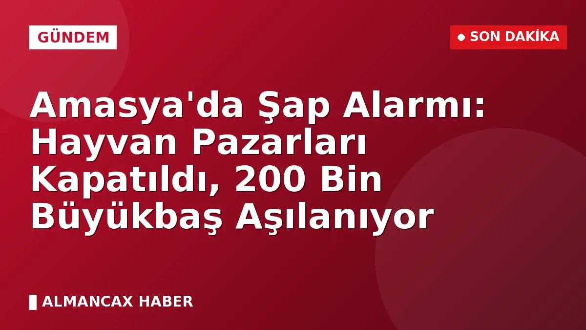 Amasya'da Şap Alarmı: Hayvan Pazarları Kapatıldı, 200 Bin Büyükbaş Aşılanıyor