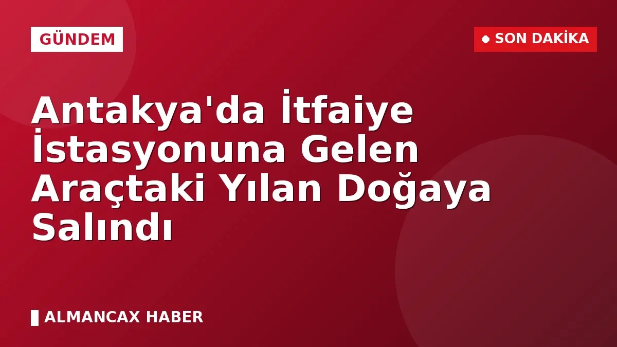 Antakya'da İtfaiye İstasyonuna Gelen Araçtaki Yılan Doğaya Salındı