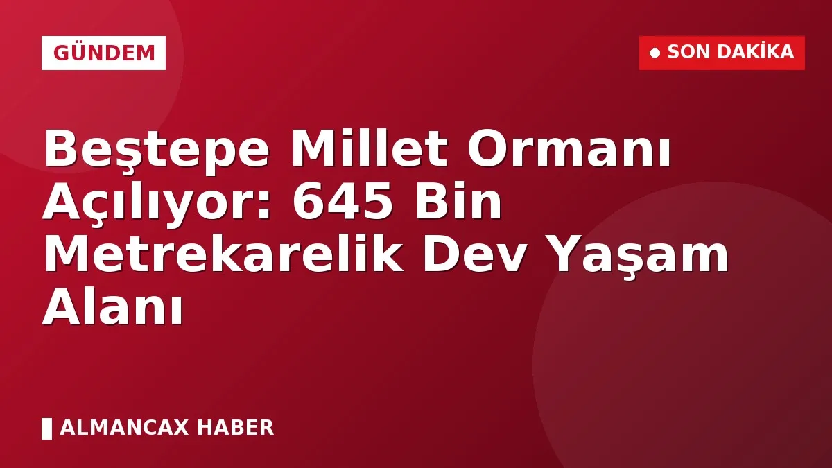 Beştepe Millet Ormanı Açılıyor: 645 Bin Metrekarelik Dev Yaşam Alanı