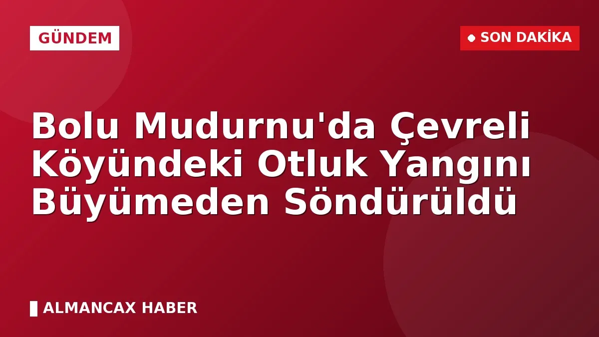 Bolu Mudurnu'da Çevreli Köyündeki Otluk Yangını Büyümeden Söndürüldü