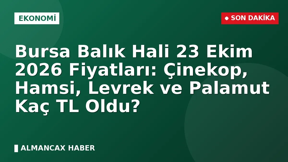 Bursa Balık Hali 23 Ekim 2026 Fiyatları: Çinekop, Hamsi, Levrek ve Palamut Kaç TL Oldu?