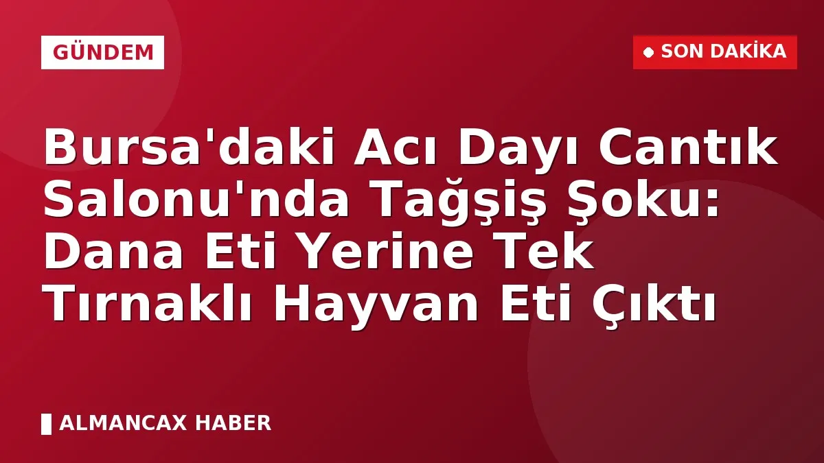 Bursa'daki Acı Dayı Cantık Salonu'nda Tağşiş Şoku: Dana Eti Yerine Tek Tırnaklı Hayvan Eti Çıktı