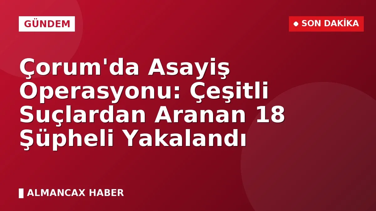 Çorum'da Asayiş Operasyonu: Çeşitli Suçlardan Aranan 18 Şüpheli Yakalandı