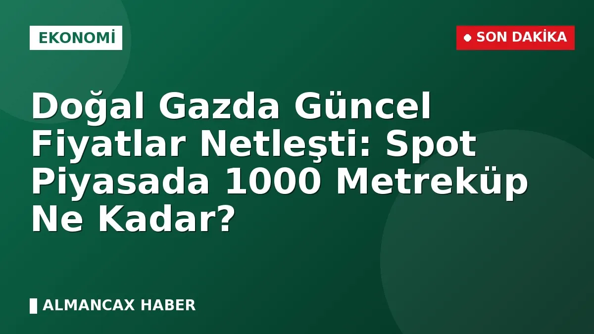 Doğal Gazda Güncel Fiyatlar Netleşti: Spot Piyasada 1000 Metreküp Ne Kadar?